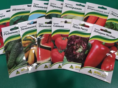 Семена овощей от международных партнеров получат более 40 тыс. украинских  домохозяйств • EastFruit