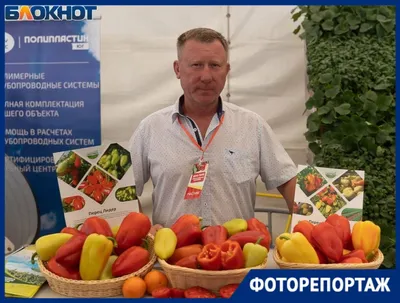 Семена овощей, в ассортименте - купить через интернет-витрину Fix Price  Беларусь в г. Минск по цене 1 руб