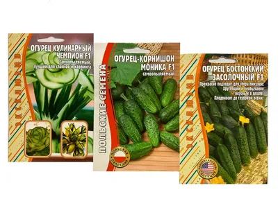 Набор семян \"Микрозелень\" из каталога Семена овощей – купить с доставкой по  Москве и России в Onlinesemena