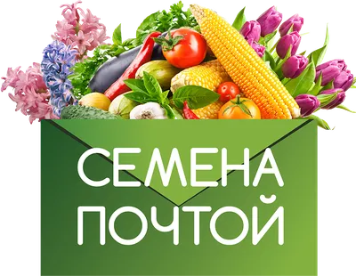 Семена овощей Первые семена Дыня Шарентэ - купить в Москве, цены на  Мегамаркет