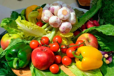 Семена овощей купить по лучшей цене, доставка наложенным платежом по России