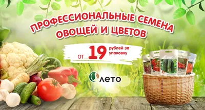 Госдума: Россия сможет перейти на отечественные семена овощей через  пять-семь лет – Агроинвестор