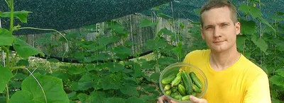 Шпалерная сетка - 2x10м (фасованная) сетка для выращивания овощей, подвязка  огурцов, сетка для поддержки растений, садовая сетка | AliExpress