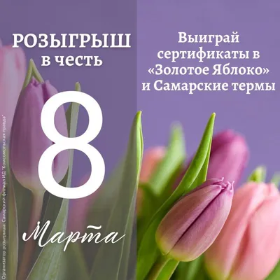 Скоро 8 марта: прикольные открытки с поздравлениями для женщин - МК  Новосибирск