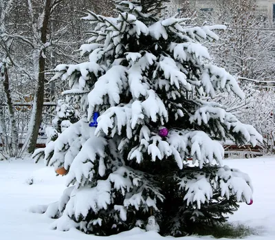 15 шт., искусственные рождественские елки, рождественские елки из  бутылочных кистей, 5 размеров, снежные елки из сизаля с деревянным  основанием, рождественские украшения – лучшие товары в онлайн-магазине Джум  Гик
