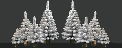 Заснеженные елки или снежные королевы