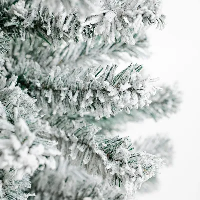 Старое фото: ёлки все в снегу, …» — создано в Шедевруме