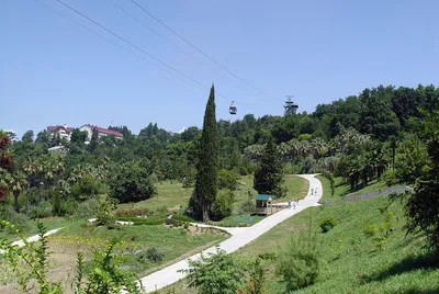 Ботанический сад в Сочи