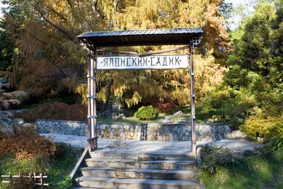 Дендрарий в городе Сочи – самый красивый парк в России