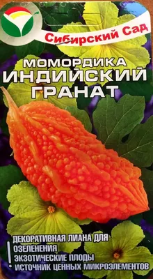 Купить картофель оптом в Екатеринбурге — цена за 1 кг с доставкой в Экомолл  «Гранат»
