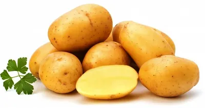Садовый центр ОГО'РОД on Instagram: \"В наличии 🌿 1 кг 145р. Сорт картофеля  Ласунок появился четверть века назад и уже за это короткое время стал одним  из самых популярных. Все это из-за