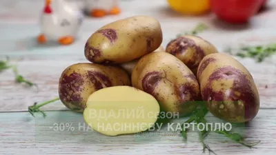 Из какого картофеля готовить? - Журнал Хозяин
