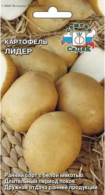 Картофелеводство: белорусский подход — Журнал \"Картофельная Система\"