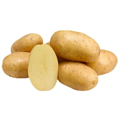 Семенной картофель Брянский деликатес (порция 500 г)