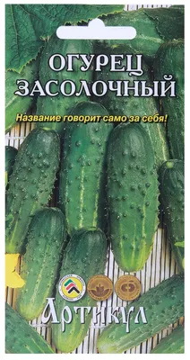 Семена огурцов Засолочный купить в Украине | Веснодар