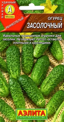 Купить семена Огурец Засолочный в магазине Первые Семена по цене 25 руб.