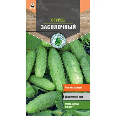 Семена Огурец Засолочный: описание сорта, фото - купить с доставкой или  почтой России