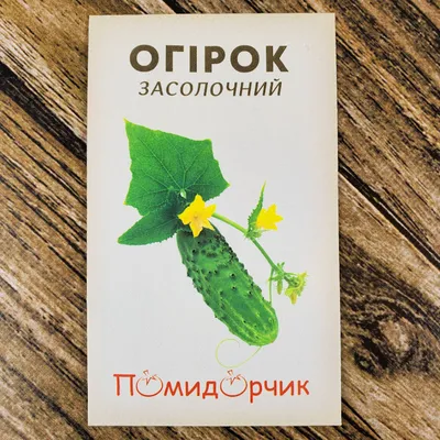 Семена огурцов Засолочный купить в Украине | Веснодар