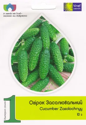 Купить семена Огурец Засолочный в Минске и почтой по Беларуси