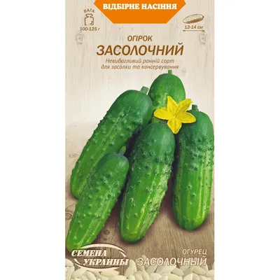 Семена огурцов, СеДеК, Засолочный 0,3 г — купить в Биробиджане по цене 16  руб за шт на СтройПортал
