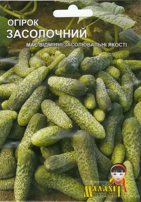 Семена огурец Гавриш Бочковой засолочный - купить в Москве, цены на  Мегамаркет