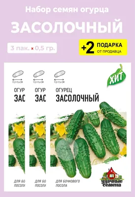 Огурец Засолочный 0.3 гр — купить в интернет-магазине по низкой цене на  Яндекс Маркете
