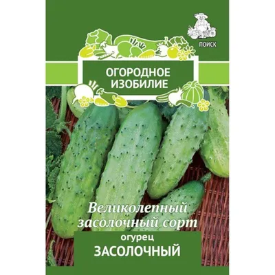 Семена Огурец Geolia «Засолочный» в Новокузнецке – купить по низкой цене в  интернет-магазине Леруа Мерлен