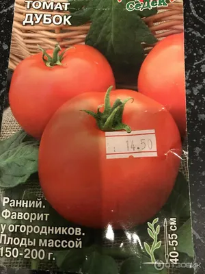 Отзыв о Семена томата СеДек \"Дубок\" | Лучший сорт томатов для  северо-запада. Устойчив к фитофторозу.