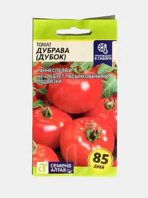 Томат ДУБРАВА (ДУБОК) семена купить по цене 59 ₽ в интернет-магазине  KazanExpress