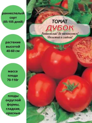 Томат Дубок Дубрава Сибирские сортовые семена 108323593 купить в  интернет-магазине Wildberries