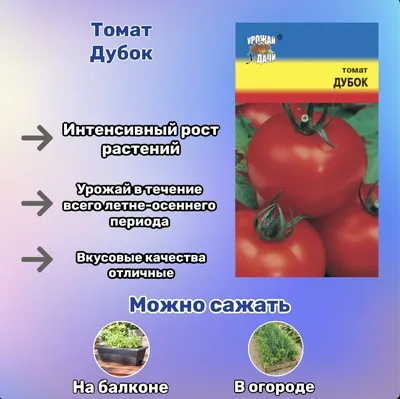 Семена Помидор Дубок – купить в интернет-магазине OZON по низкой цене