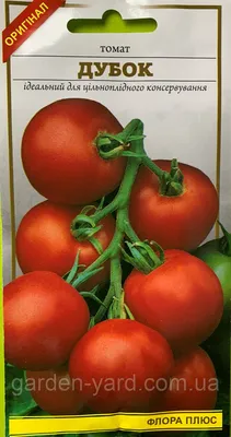 Семена томат Дубок 0.1 г. Флора плюс (ID#1119564548), цена: 4.40 ₴, купить  на Prom.ua