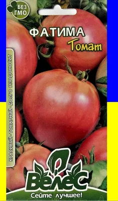 Самые устойчивые к болезням томаты – 6 проверенных временем сортов и  гибридов ! | Флористикс Инфо | Дзен