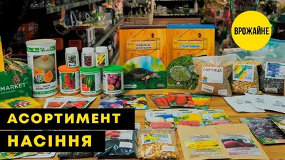 Семена помидоров (томата) купить в Киеве, Украине с доставкой почтой -  Дачник