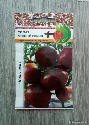 Черные томаты: лучшие сорта, сроки посева семян - полезные статьи о  садоводстве от Agro-Market