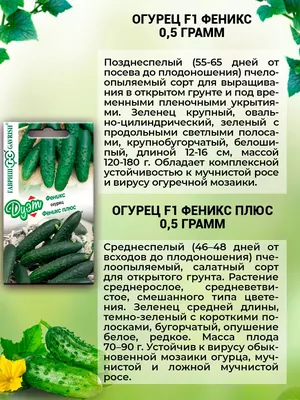 Огурцы ПОИСК Агрохолдинг Семена огурцов. 5 лучших сортов - купить по  выгодным ценам в интернет-магазине OZON (802028315)