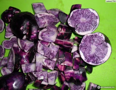 Картофель Салблю (Solanum tuberosum Salblue) - «Опыт выращивания  фиолетового картофеля в Западной Сибири. Как приготовить, чтобы сохранить  красивый цвет. Обновление отзыва в 2022 году. » | отзывы