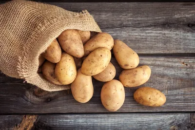 Красноярские ученые вывели новые сорта картофеля и сои для Севера | РБК Life
