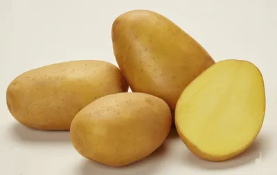 Картофель семенной Родриго