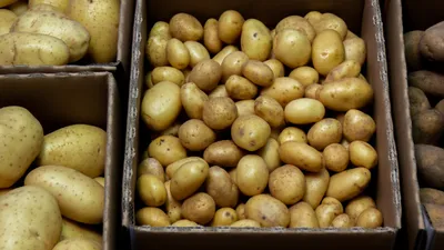 Лучшие сорта картофеля для пюре - Agro-Market