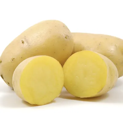 Сорт картофеля «Гарантия»