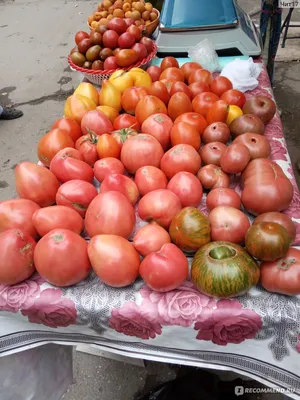 Детерминантные и индетерминантные сорта томатов | ОГОРОД.сайт