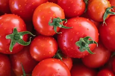 Томаты Сибирский сад Популярные сорта томатов - купить по выгодным ценам в  интернет-магазине OZON (314546527)