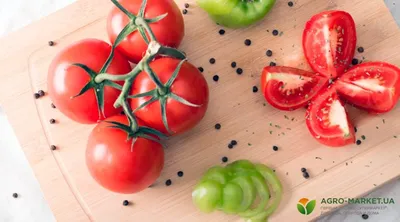 Овощевод из Одесской области коллекционирует редкие сорта томатов