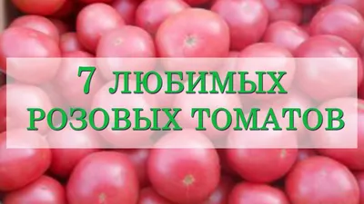7 любимых розовых томатов. С этими томатами мы уверенны в большом и вкусном  урожае! - YouTube