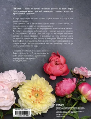 В розарии Главного ботанического сада можно встретить уникальные сорта  цветов – Москва 24, 23.07.2022