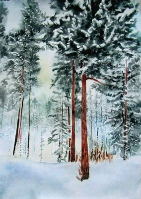 зима зимний лес в снегу сосны парк тишина снег на ветках Stock Photo |  Adobe Stock