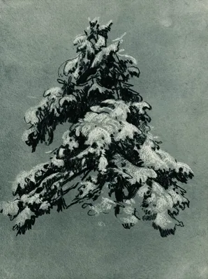 Красивые сосны в снегу, утро, зима…» — создано в Шедевруме