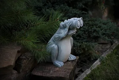 Садовая фигура, статуэтка Лягушка с биноклем для декора сада изготовлен из  цемента, ручной работы (ID#1984029091), цена: 850 ₴, купить на Prom.ua