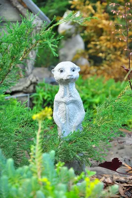 Садовая фигура, скульптура, статуэтка белого Льва для декора сада и двора,  ручной работы 34 см (ID#1653018758), цена: 800 ₴, купить на Prom.ua
